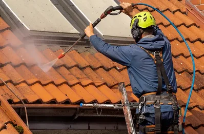 Démoussage et hydrofuge de toiture à Retournac